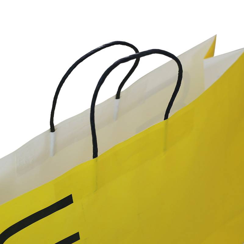 Giimprinta nga Foldable Paper Bags Uban sa Imong Kaugalingong Logo, White Kraft Paper Carrier Packing Bag (2)
