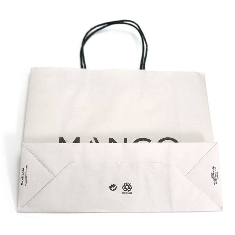 China factory custom logo printed paper shopping bag para sa toggery (4)