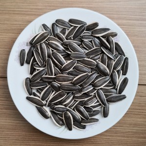 Big discounting Chinese Snow White Pumpkin Seeds -<br />
 Sunflower Seeds 5009 - GXY FOOD