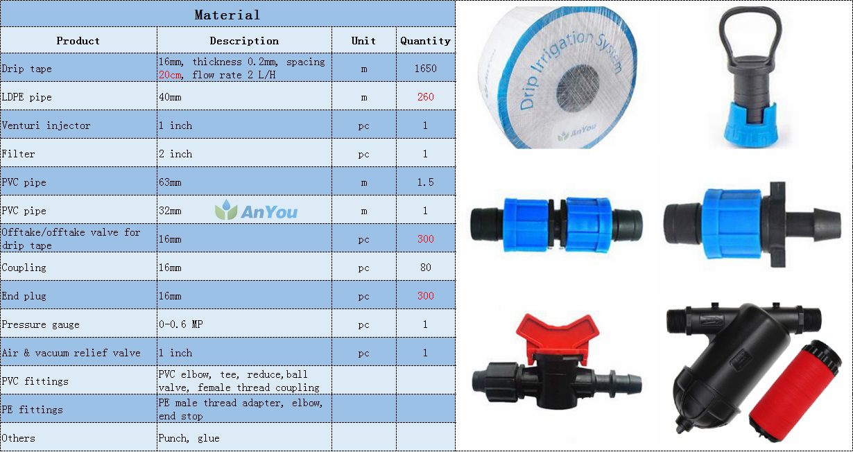 Drip tape irrigation system for chili or tomato greenhouse 120m12m (6)