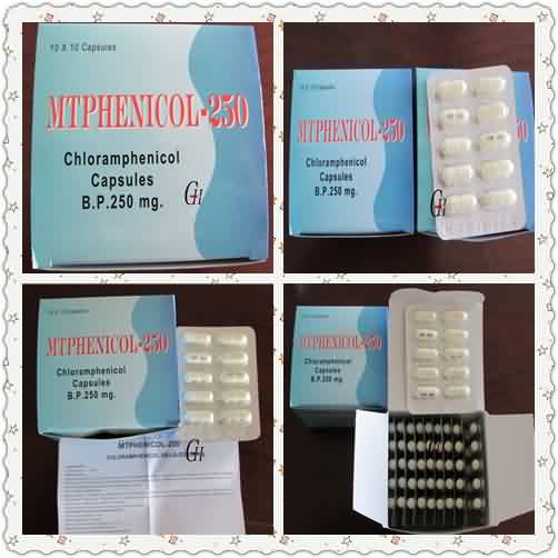 Antibiotics Chloramphenicol Capsules