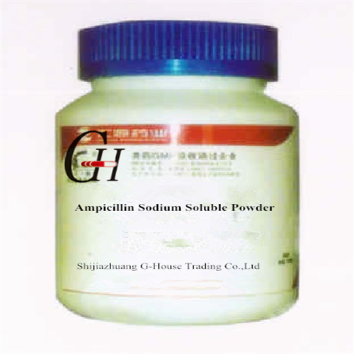 Ampicillin Sodium Natutunaw Powder