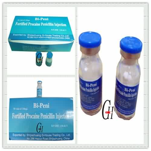 Injection Fortified Procaine Penicillin