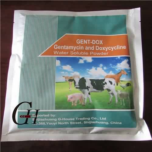 Gentamycin ແລະ Doxycycline Soluble ຝຸ່ນ