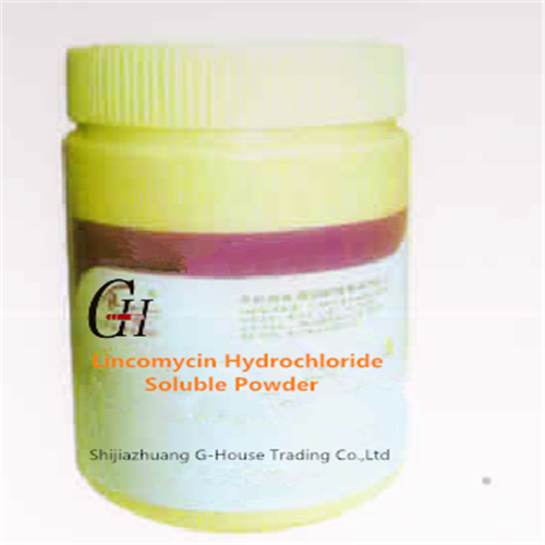 Linkomycin hydrochlorid rozpustný prášek
