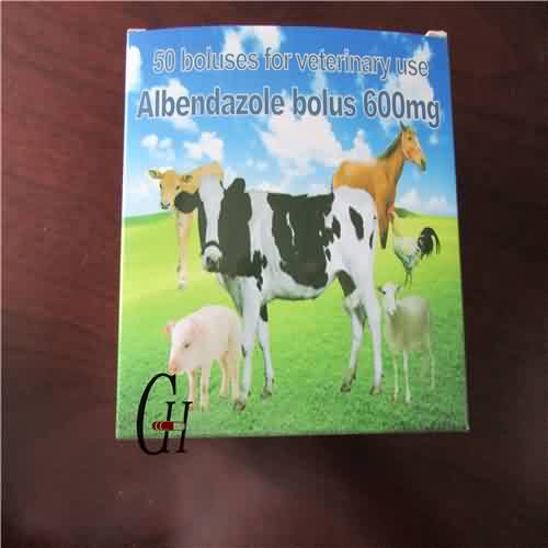 Albendazole Bolus 600 Mg for Veterinary