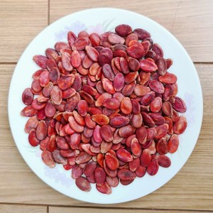 Leading Manufacturer for Pumpkin Seeds Kernel -<br />
 Red Watermelon Seeds  - GXY FOOD