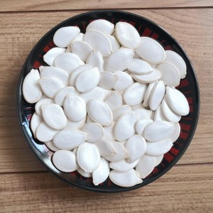 factory low price Roasted Snow Pumpkin Seeds With Salt -<br />
 Snow White Pumpkin Seeds - GXY FOOD