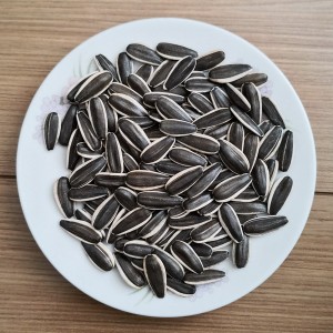 High Quality Exporting Snow White Pumpkin Seeds -<br />
 Sunflower Seeds 5009 - GXY FOOD