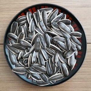 Factory wholesale Bitter Apricot Kernels -<br />
 Sunflower Seeds 363 - GXY FOOD