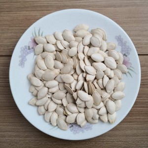 Chinese wholesale Dry Roasted Pumpkin Seeds -<br />
 Shine Skin Pumpkin Seeds  - GXY FOOD
