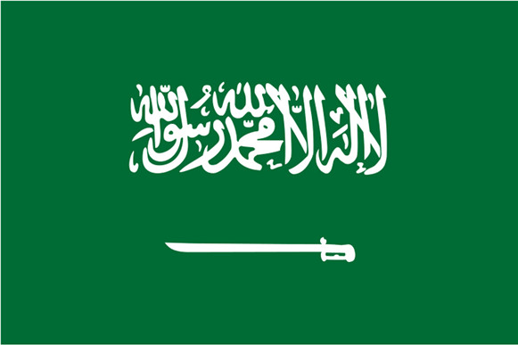 Saudi Arabia UPS