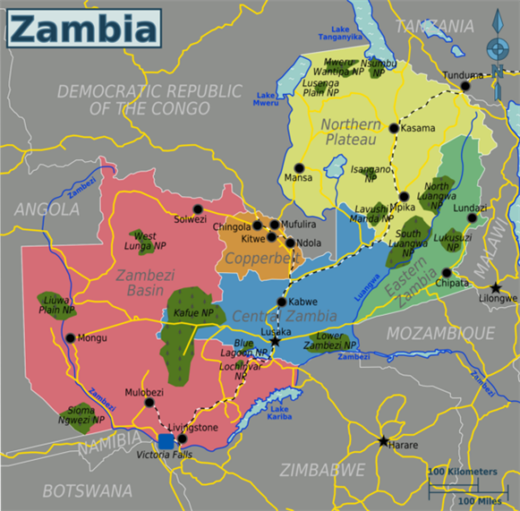 Zambia UPS