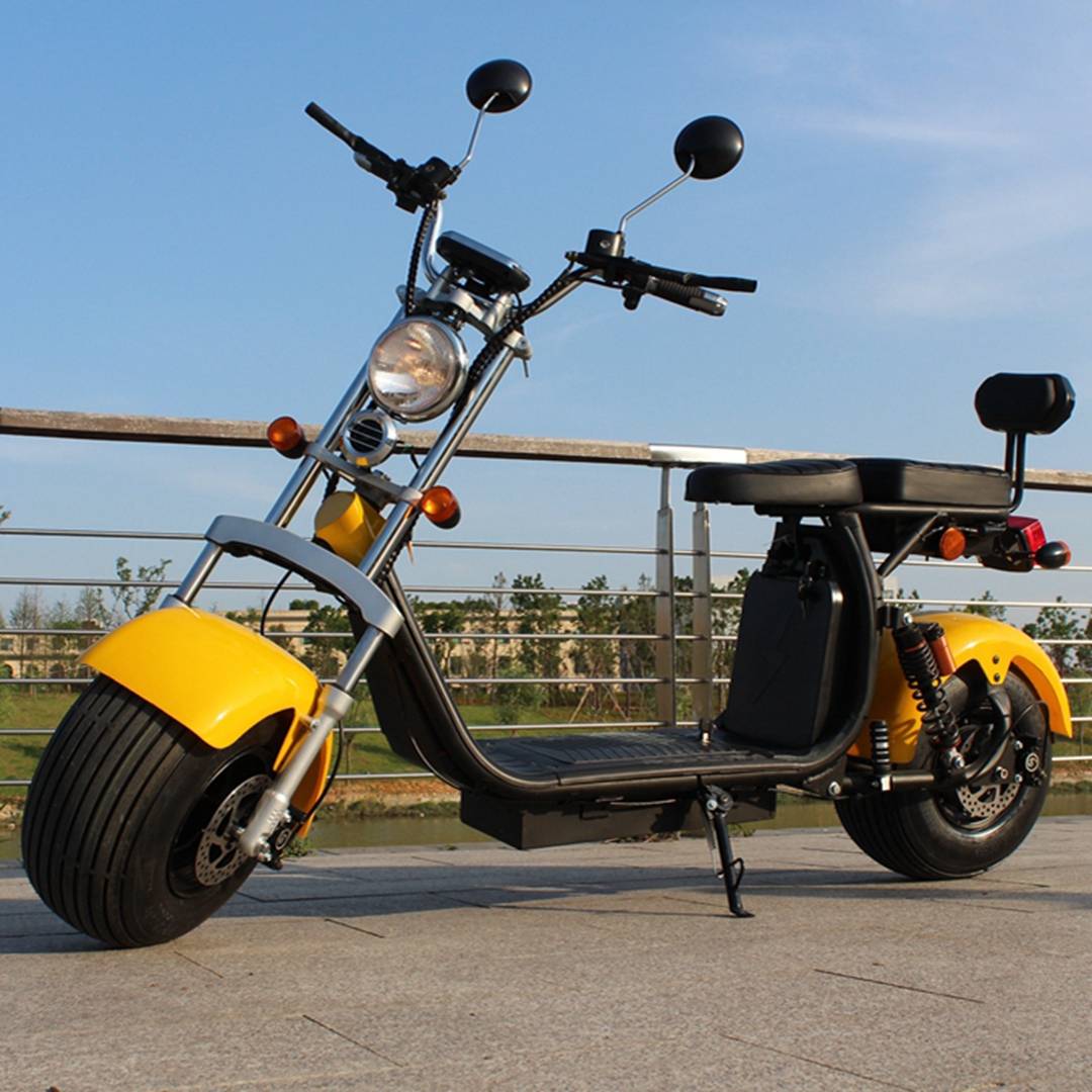 2018 Newest EEC citycoco harley electric scooter from Rooder (12)
