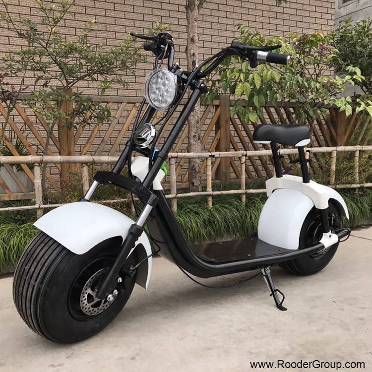 2 wheel adult electric scooter with ce fcc rohs certification front shock absorber fat tire 1000w motor 48v 60v 72v lithium battery from harley city coco manufacturer (6)