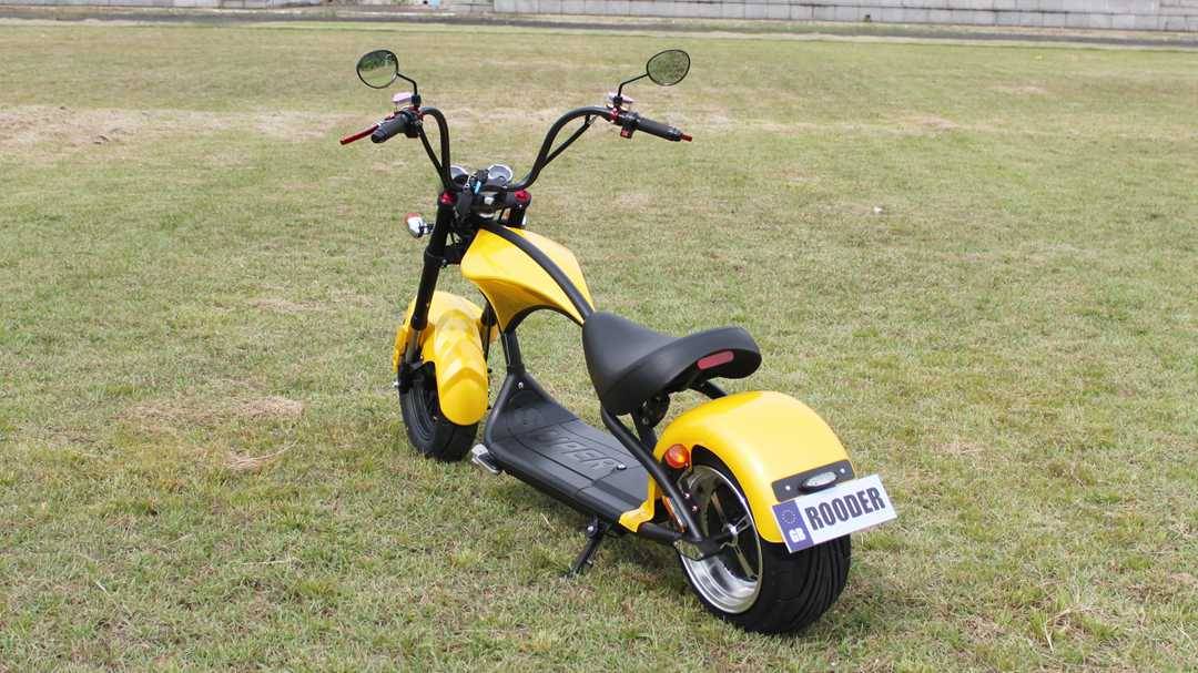 city coco electric scooter (1)