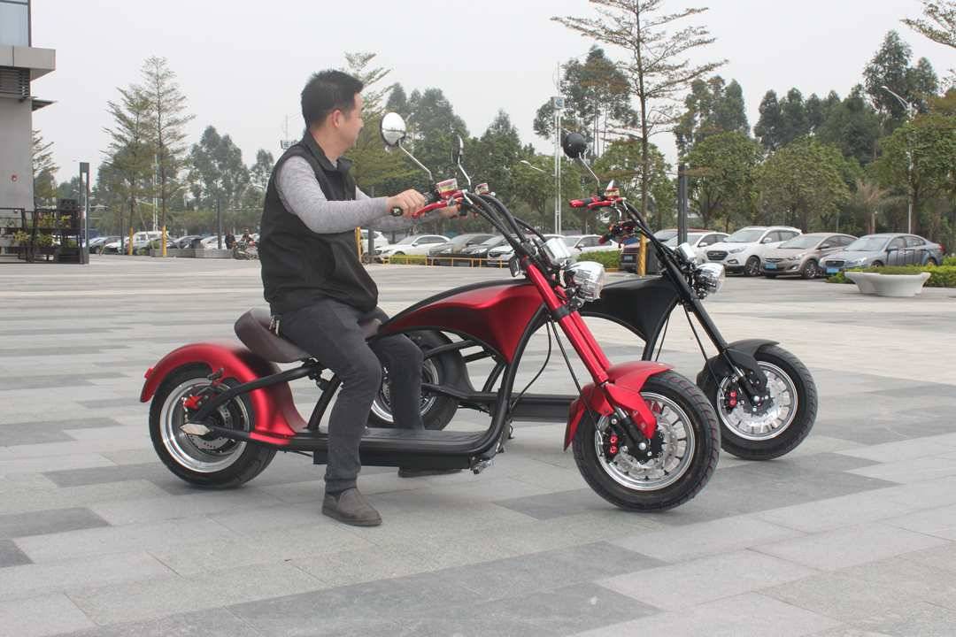 fat tire electric scooter Rooder r804 m1 (8)