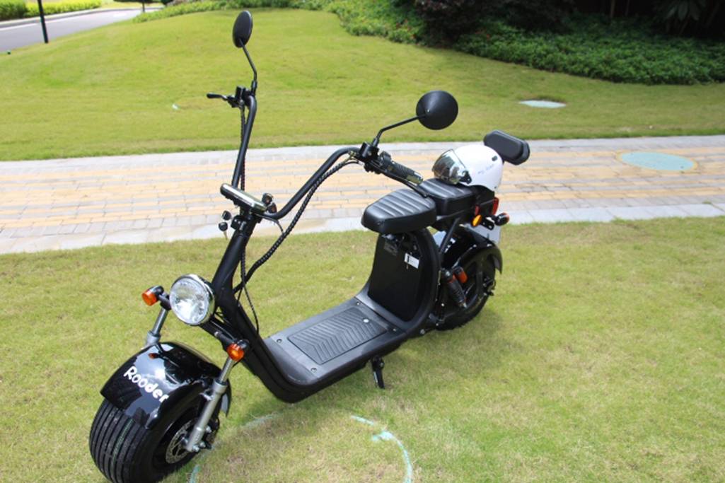 Rooder COC approval e scooter harley citycoco with removable battery