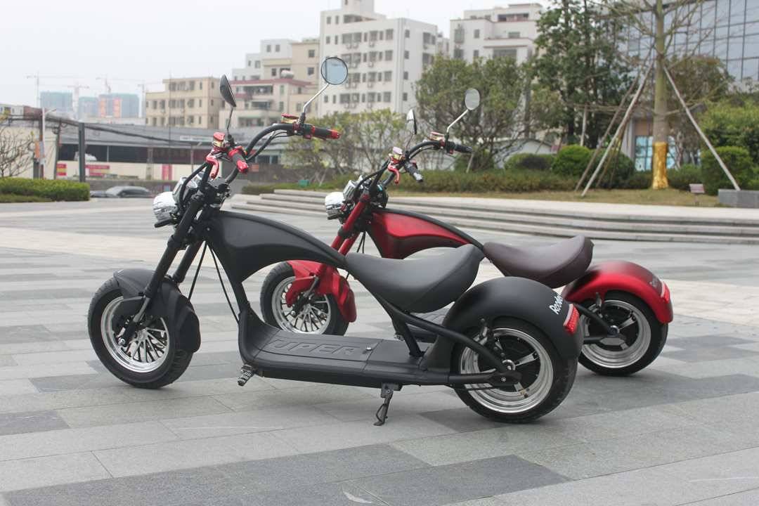 fat tire electric scooter Rooder r804 m1 (1)