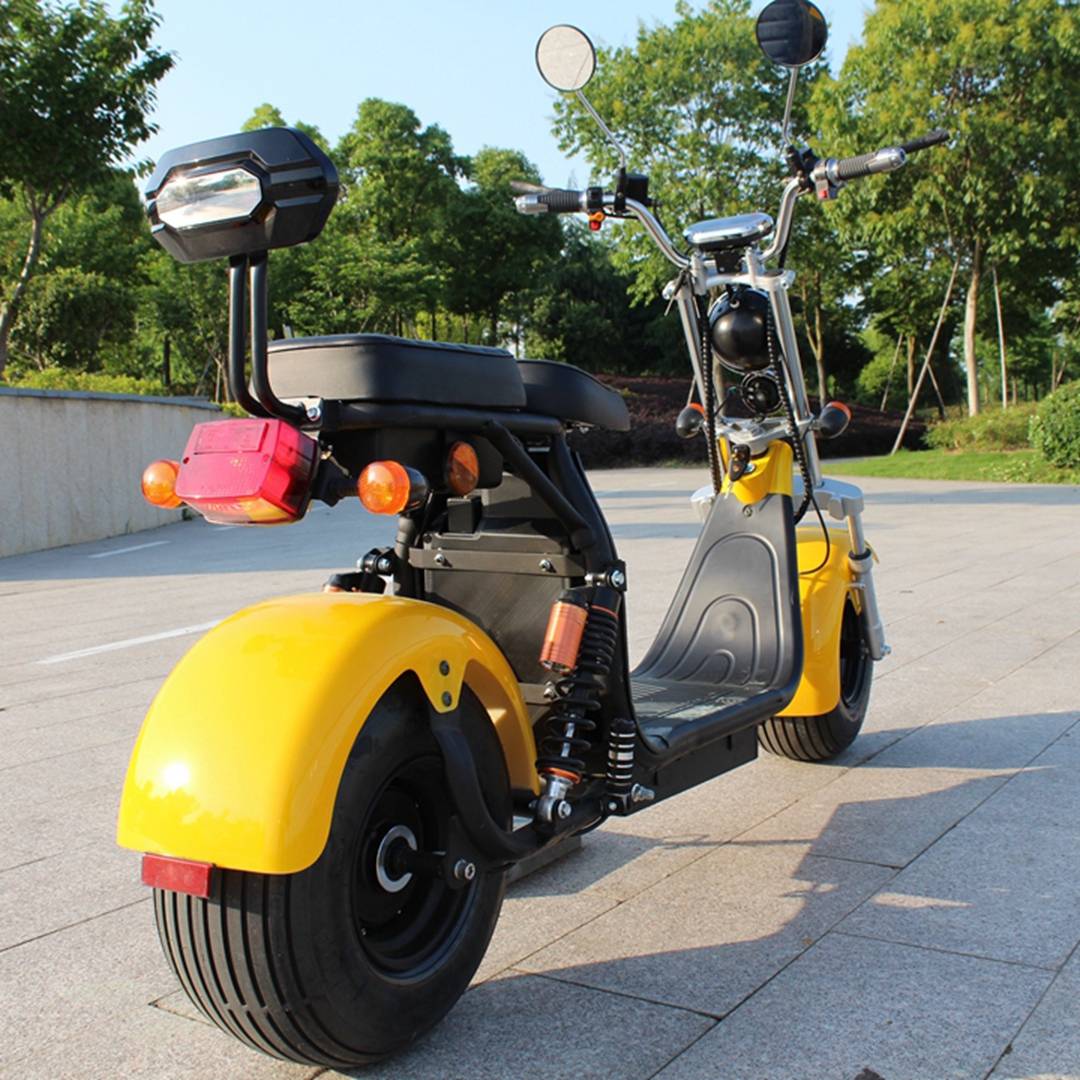 2018 Newest EEC citycoco harley electric scooter from Rooder (9)