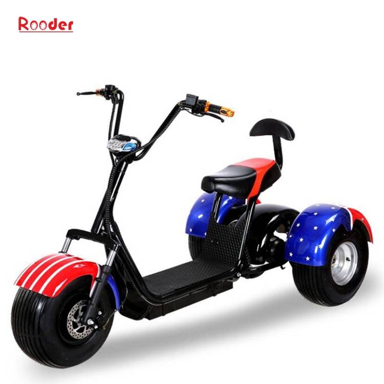 3 wheel electric scooter r804t with fat tire 60v lithium battery 1000w motor customized speed skillful colors black white red green pink yellow orange graffiti (2)