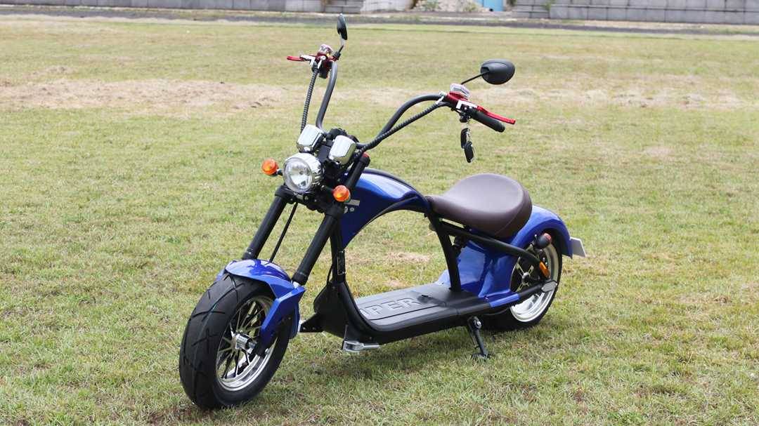 big wheel electric scooter (8)