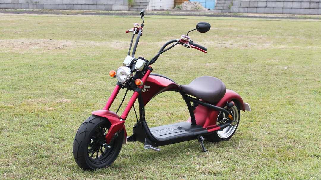 citycoco scooter  (7)