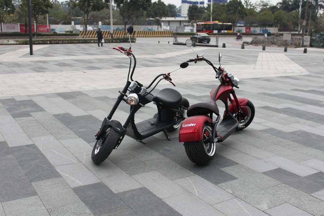 fat tire electric scooter Rooder r804 m1 (11)