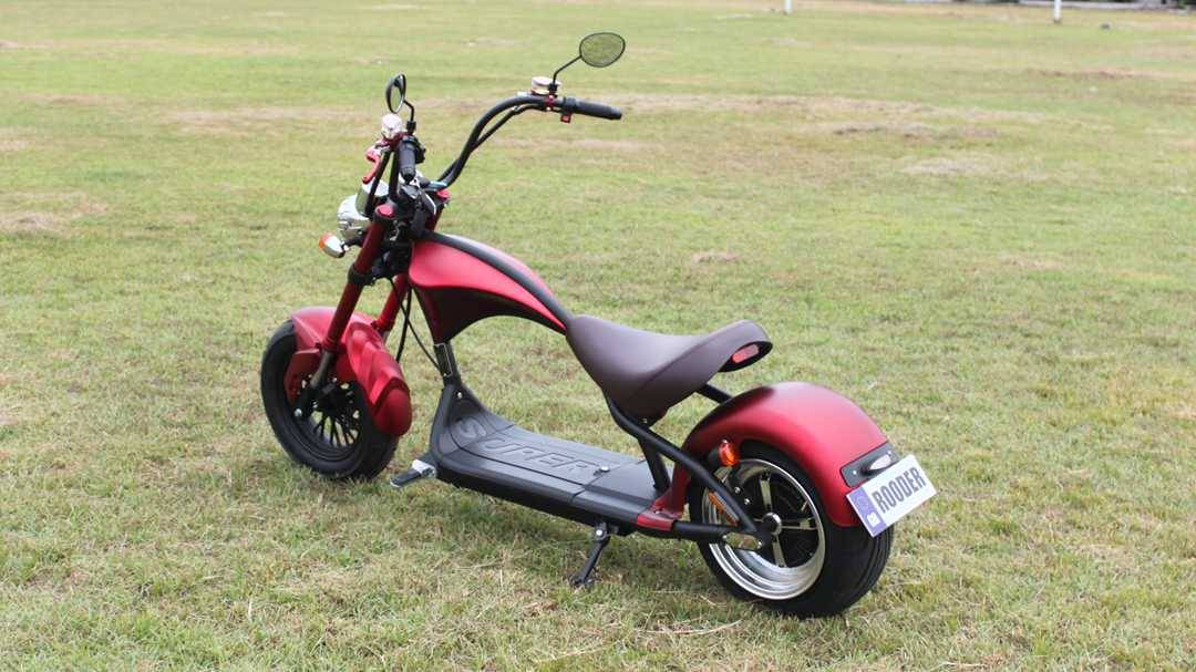 citycoco scooter  (1)