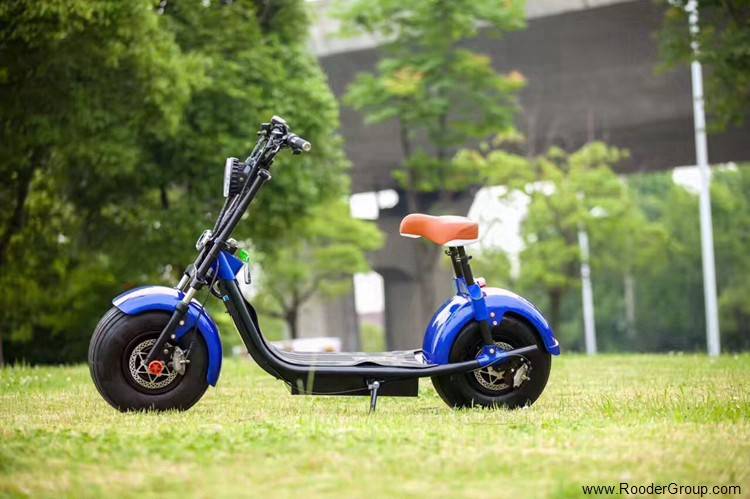 2 wheel adult electric scooter with ce fcc rohs certification front shock absorber fat tire 1000w motor 48v 60v 72v lithium battery from harley city coco manufacturer (33)