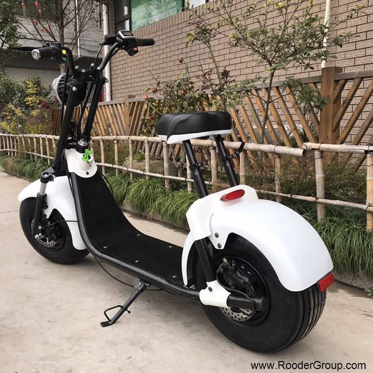 2 wheel adult electric scooter with ce fcc rohs certification front shock absorber fat tire 1000w motor 48v 60v 72v lithium battery from harley city coco manufacturer (8)