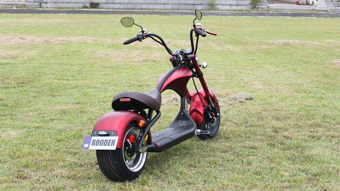 citycoco scooter  (3)