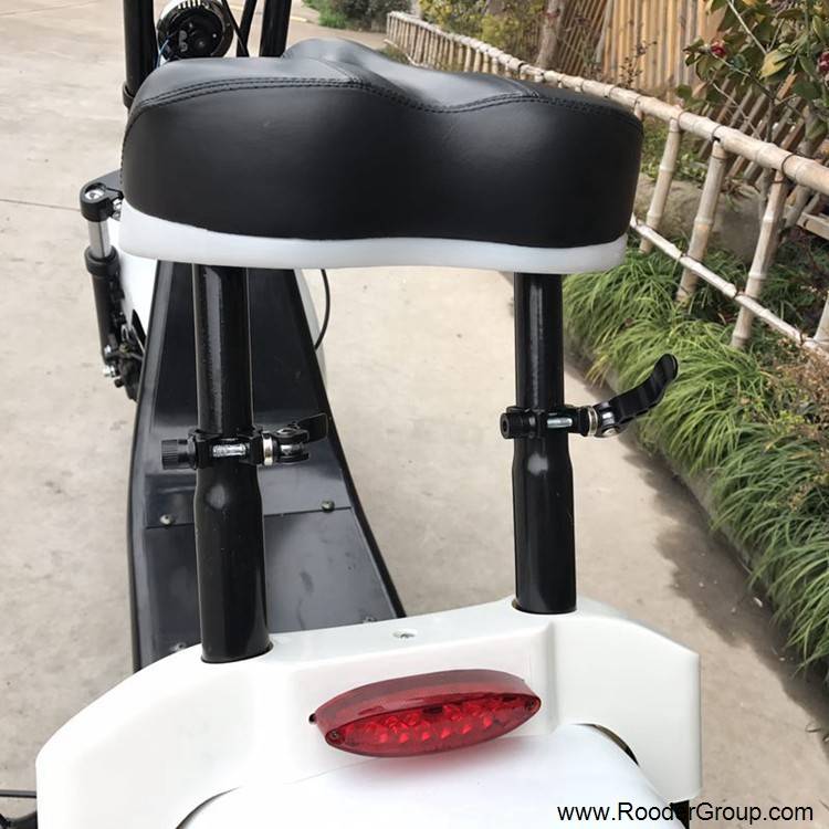 2 wheel adult electric scooter with ce fcc rohs certification front shock absorber fat tire 1000w motor 48v 60v 72v lithium battery from harley city coco manufacturer (13)