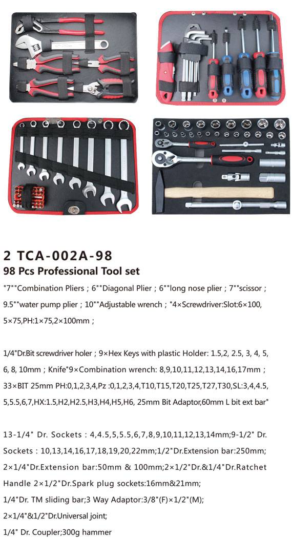 TCA-002A-98 Professional Tool set-1