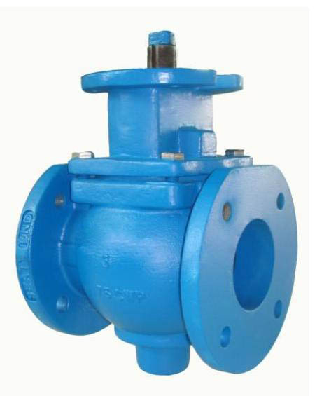 Eccentric Plug Valve with bare stem