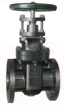 Flanged End Non-Rising Stem Gate Valves-MSS SP-70 125LB