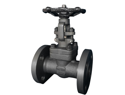 China Supplier 300 Psi Check Valve -<br />
 Forged Steel Gate Valves-Flanged - Kingnor