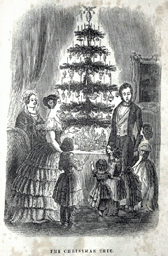 christmas tree&chriatmas decoration